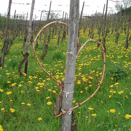 Couette-café Zenz - Gaestezimmer Im Winzerhaus Ernst