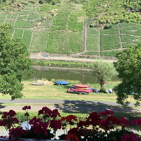 Zenz - Gaestezimmer Im Winzerhaus Alojamento de Acomodação e Pequeno-almoço Ernst