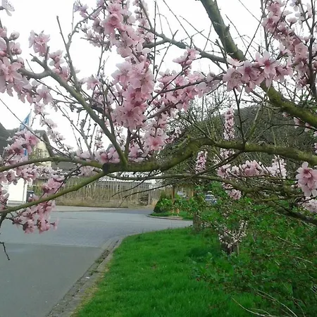 Bed and breakfast Zenz - Gaestezimmer Im Winzerhaus Ernst