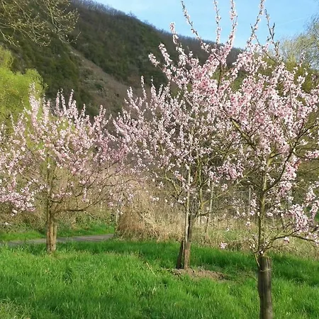 Alojamento de Acomodação e Pequeno-almoço Zenz - Gaestezimmer Im Winzerhaus