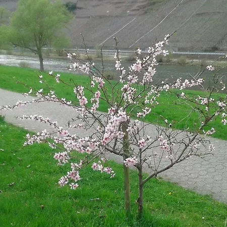 Nocleg ze śniadaniem Zenz - Gaestezimmer Im Winzerhaus *