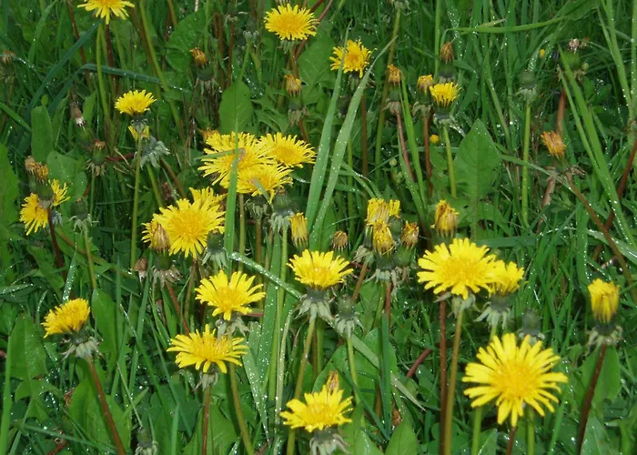 Zenz - Gaestezimmer Im Winzerhaus