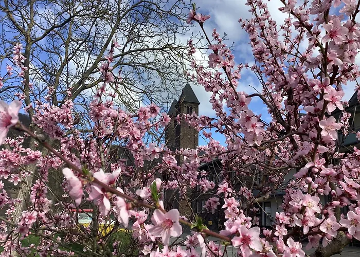 住宿加早餐酒店 Zenz - Gaestezimmer Im Winzerhaus 恩斯特