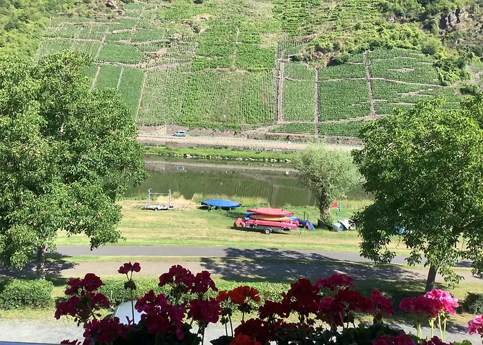 Zenz - Gaestezimmer Im Winzerhaus B&B 에른스트