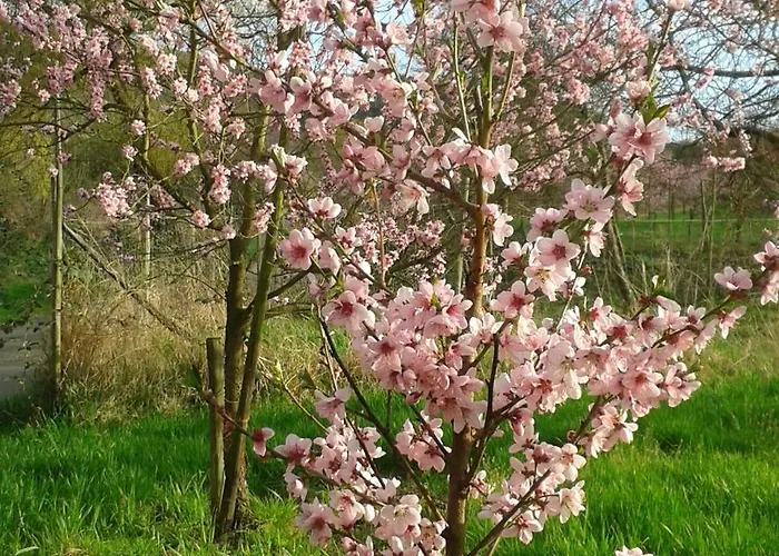 Zenz - Gaestezimmer Im Winzerhaus 住宿加早餐酒店