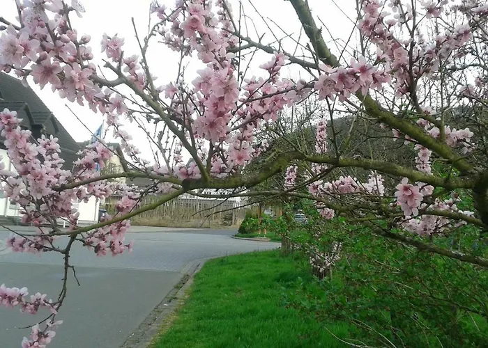 B&B Zenz - Gaestezimmer Im Winzerhaus 에른스트