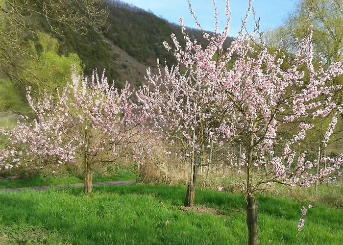 B&B Zenz - Gaestezimmer Im Winzerhaus