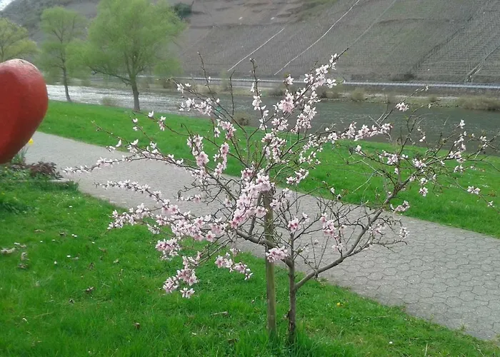 住宿加早餐酒店 Zenz - Gaestezimmer Im Winzerhaus 3*