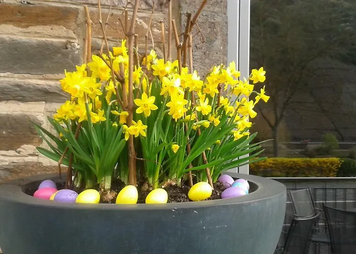 住宿加早餐酒店 Zenz - Gaestezimmer Im Winzerhaus